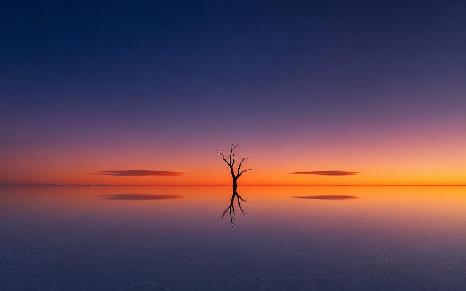 Tree Reflection