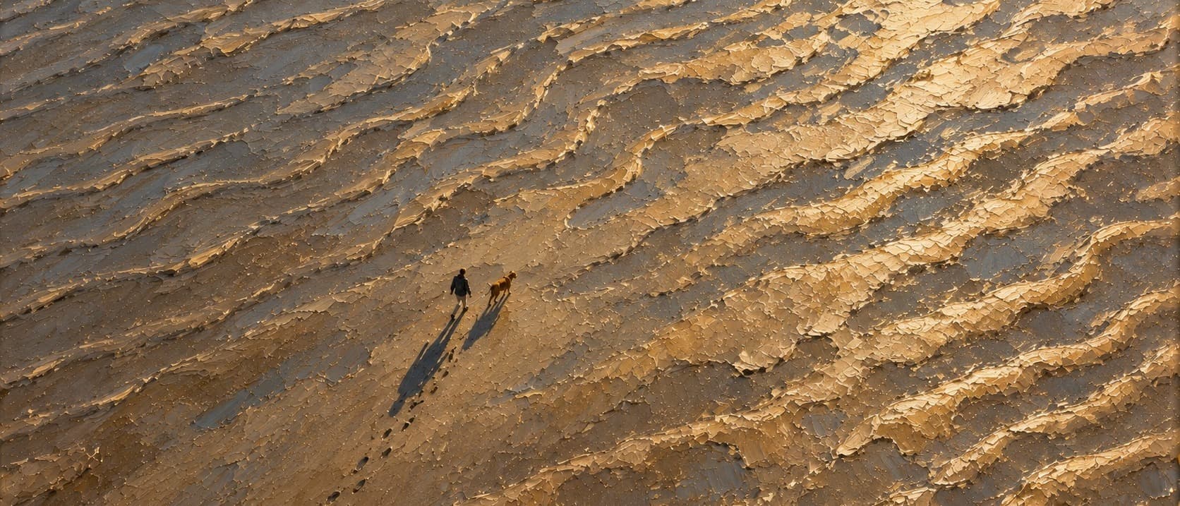 Walking the Dog