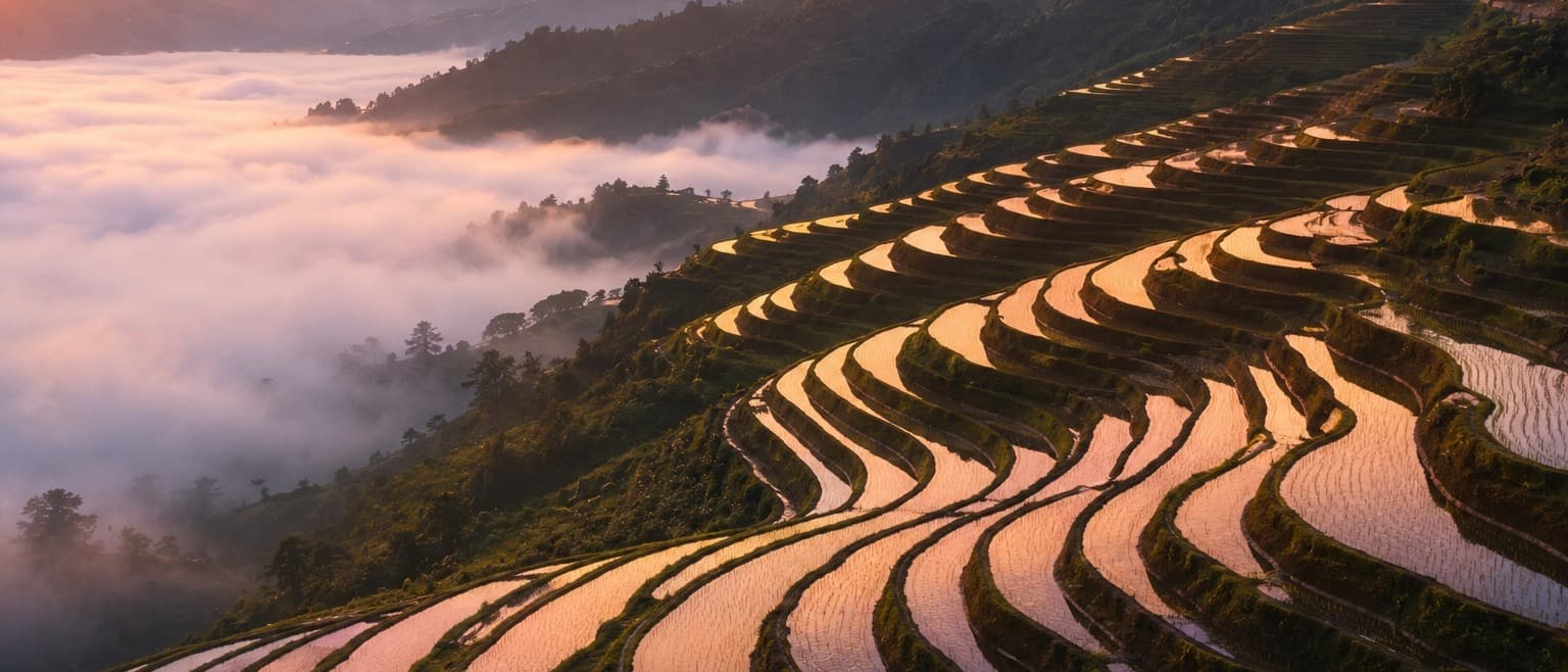 Japanese Terraces