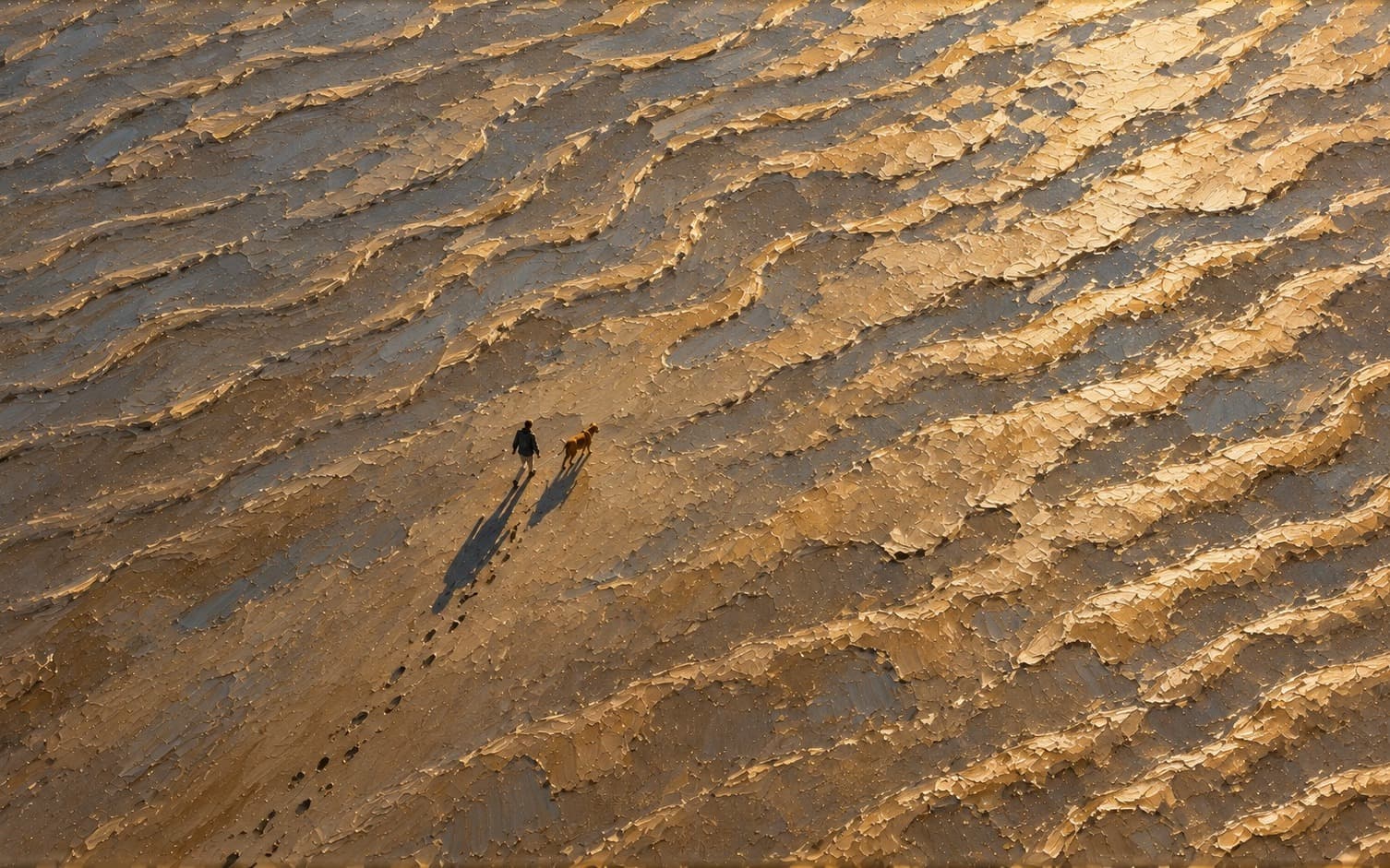 Walking the Dog