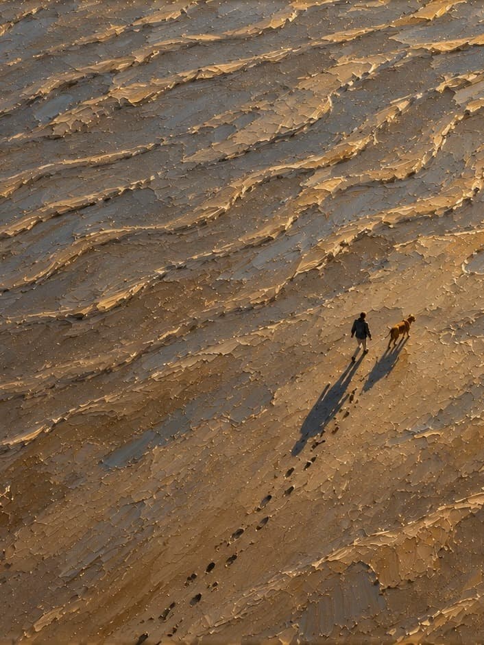 Walking the Dog