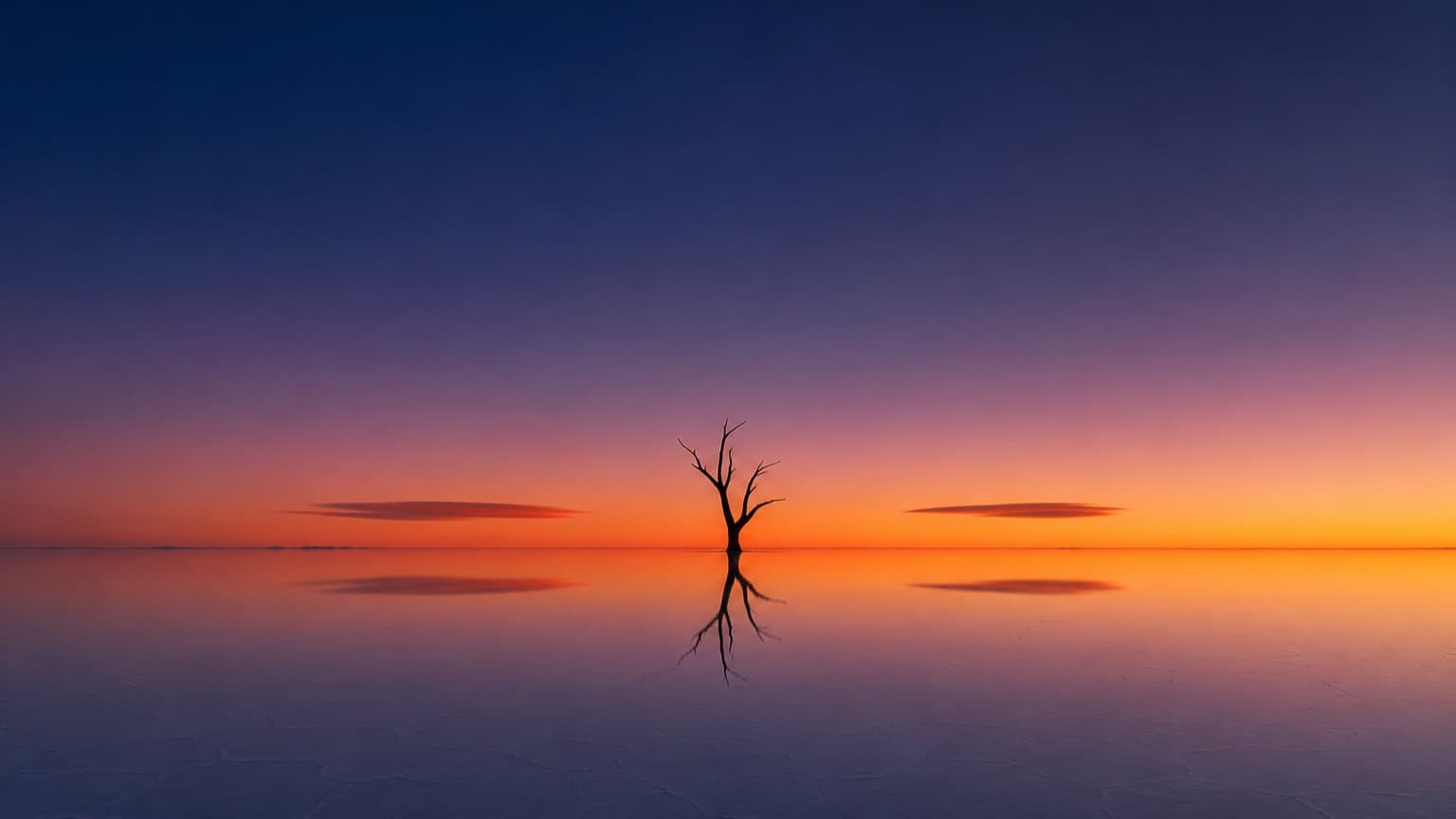 Tree Reflection, Desktop