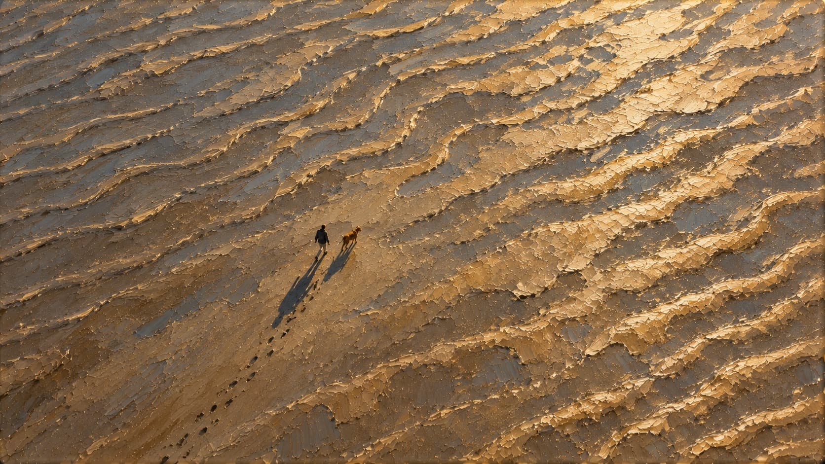 Walking the Dog, Desktop