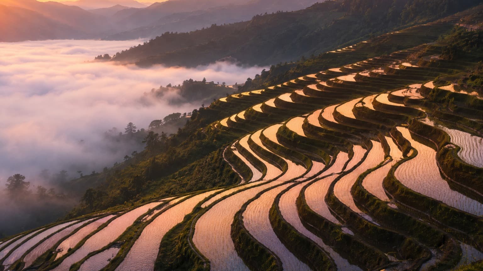 Japanese Terraces, Desktop